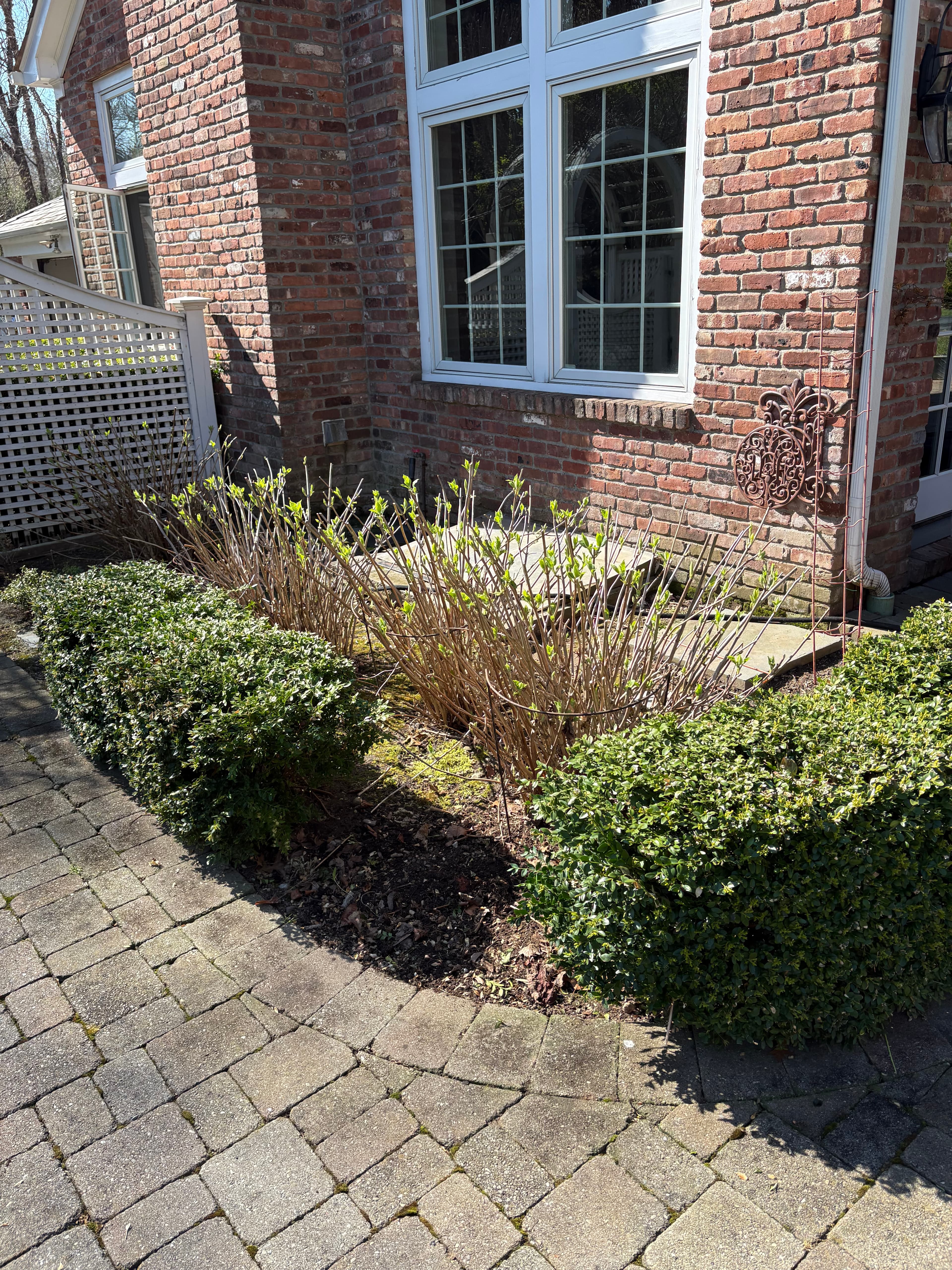 Dead plant removal