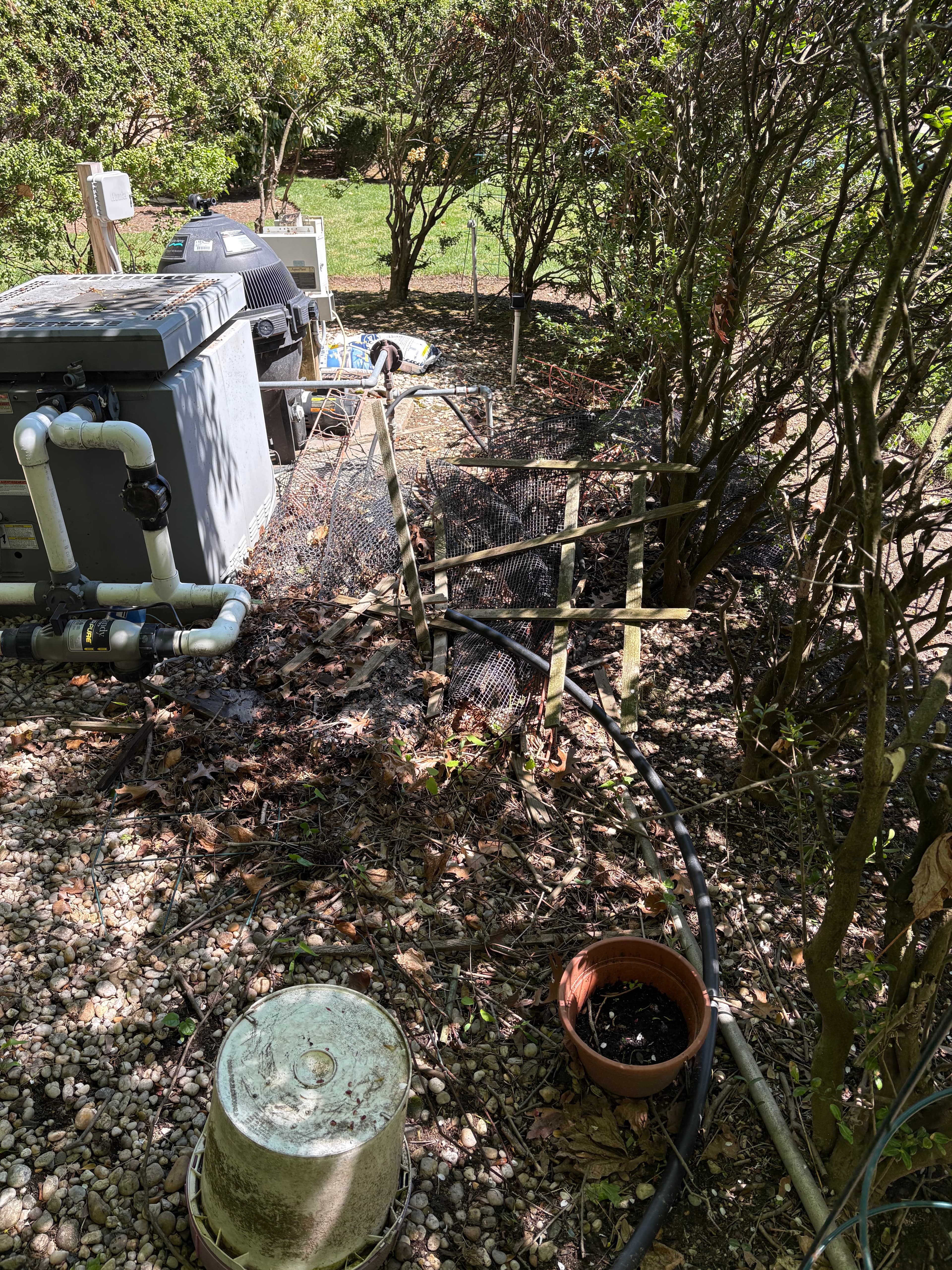 Before Brush removal and plant installation