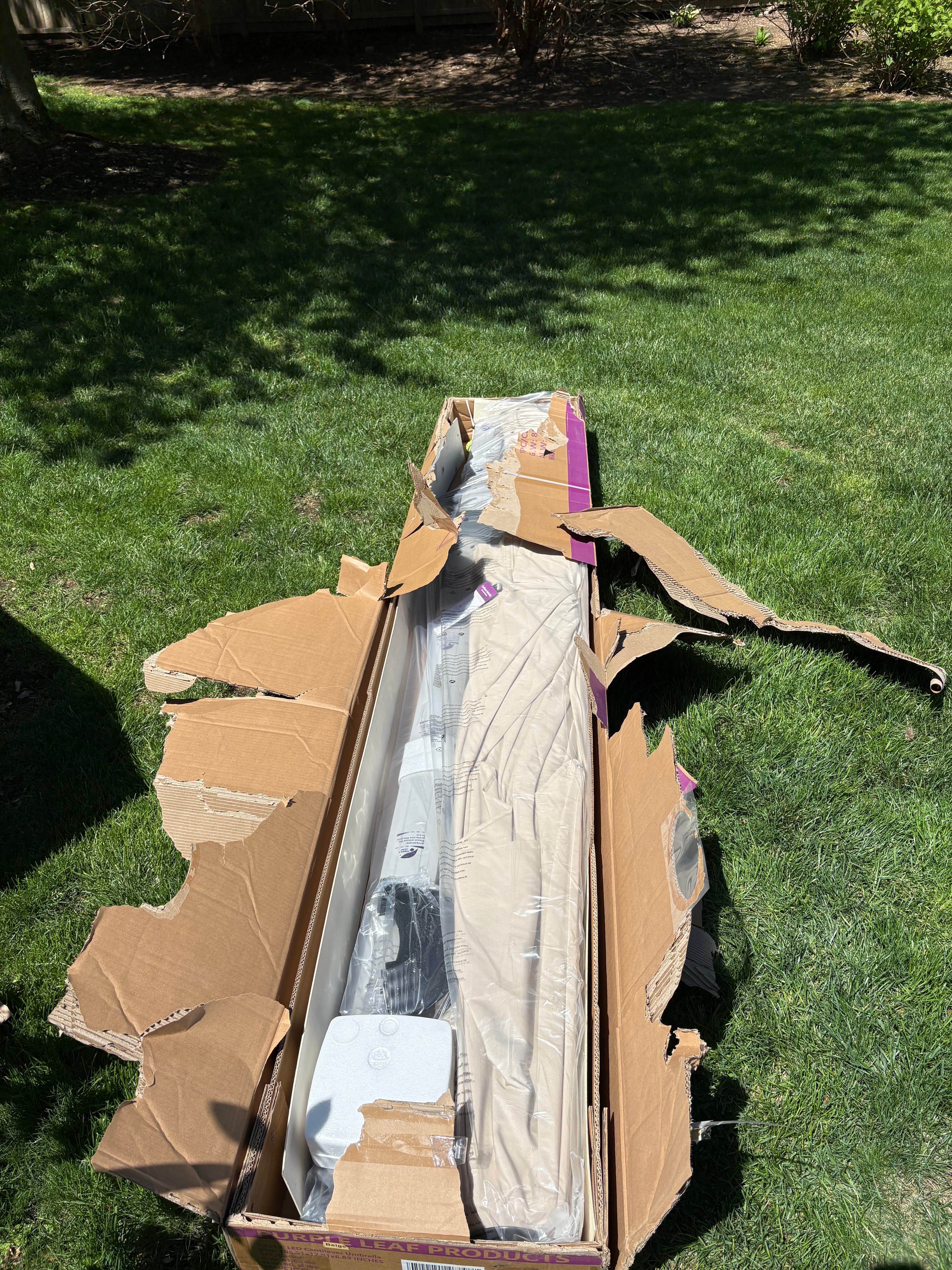 Umbrella Pre-Buildout