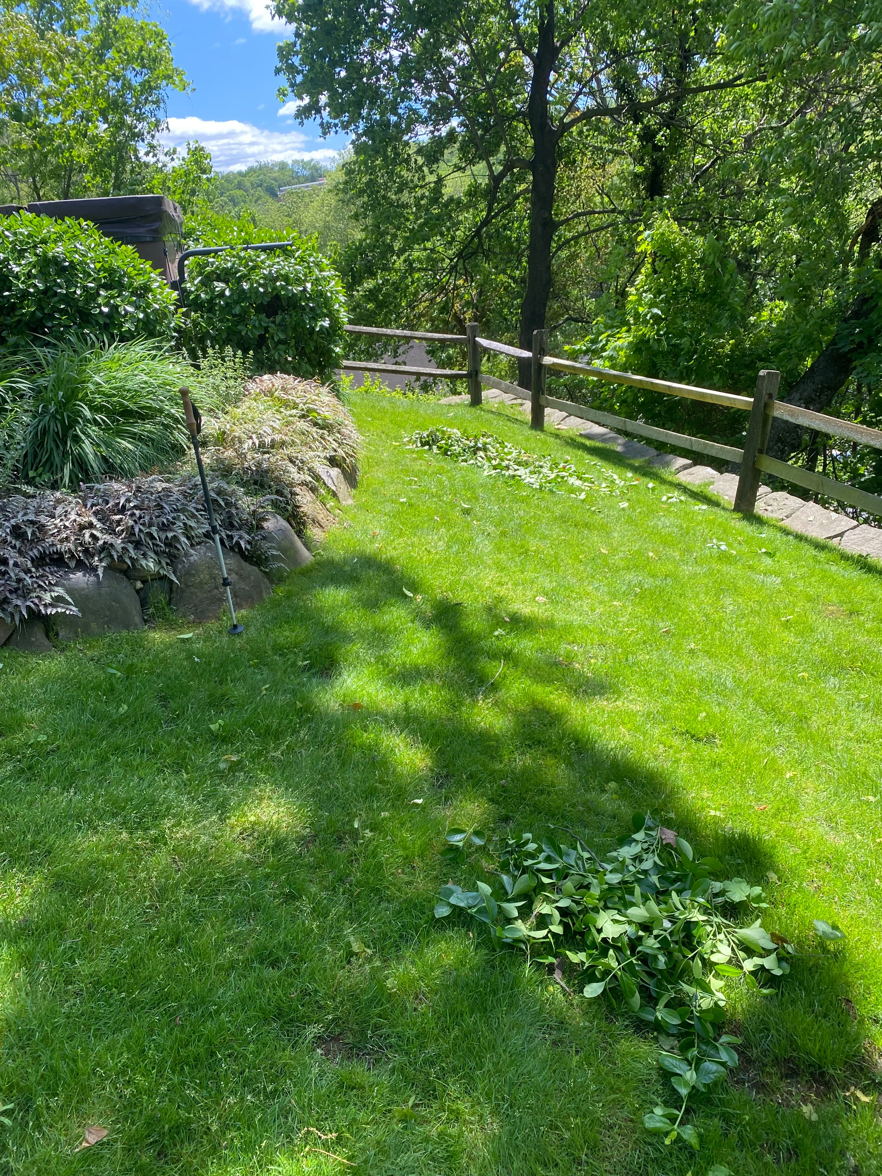 Lawn cleanup