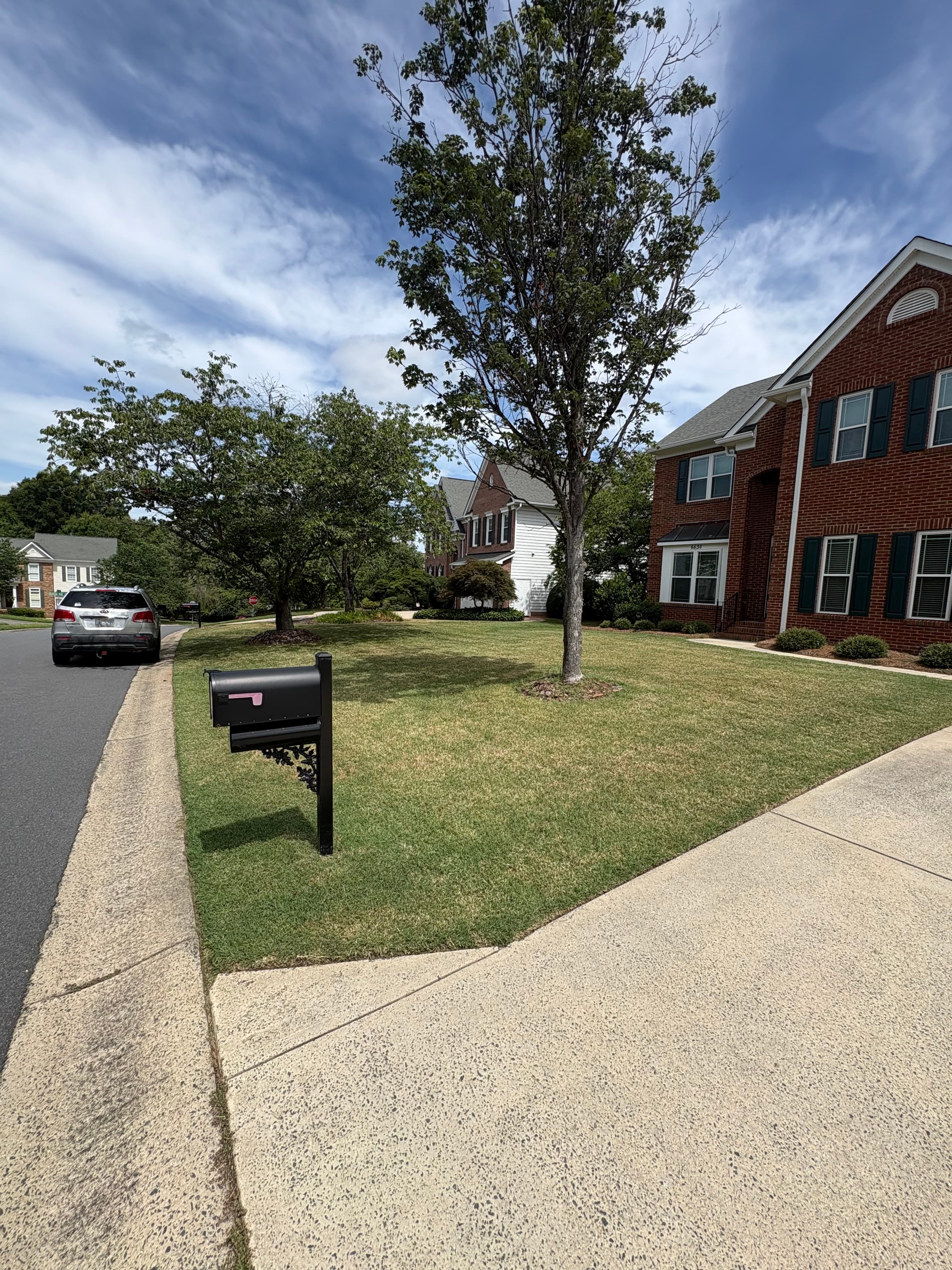 Mowing and Weedwacking job 1