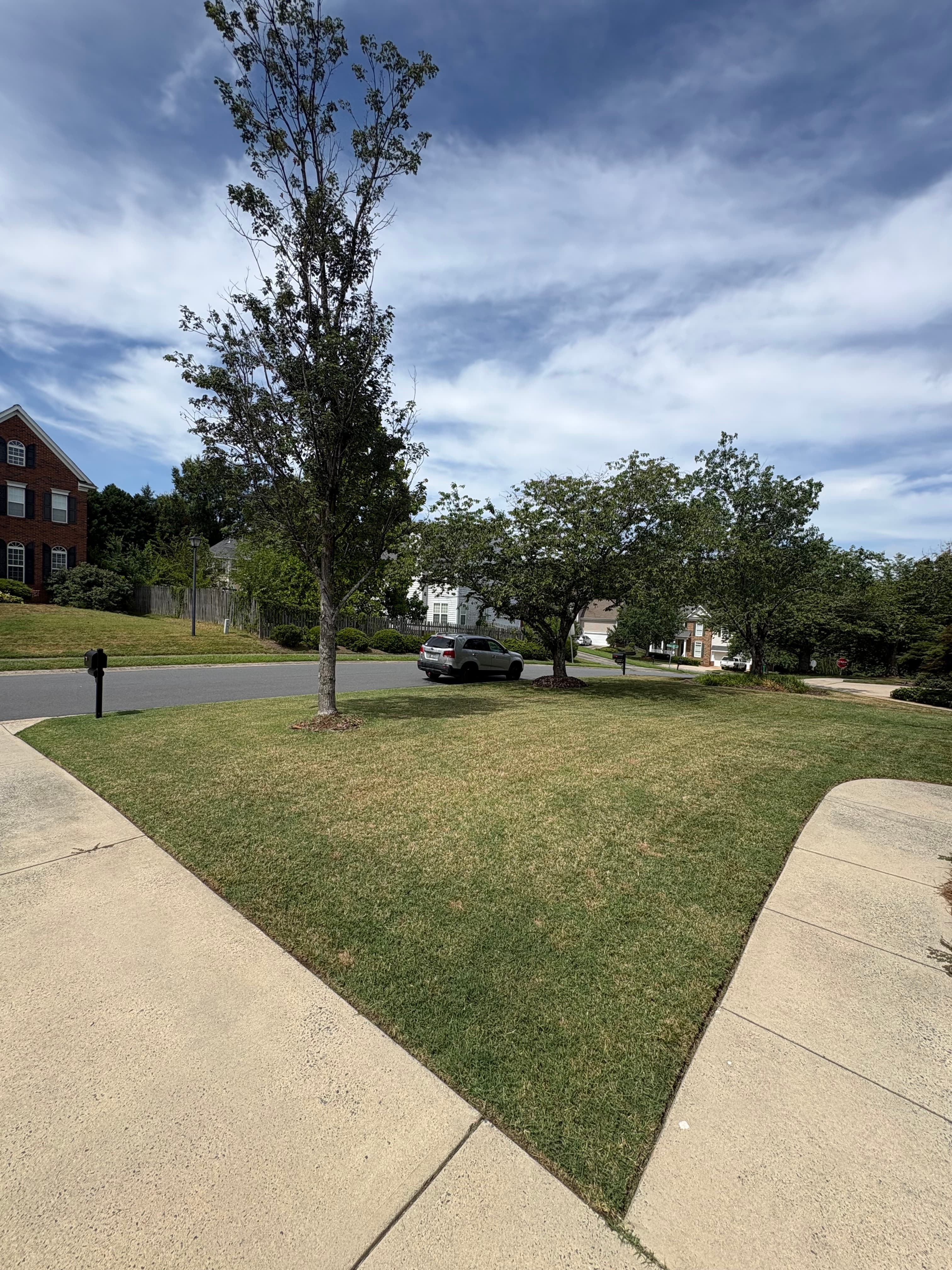 Mowing and Weedwacking job 2