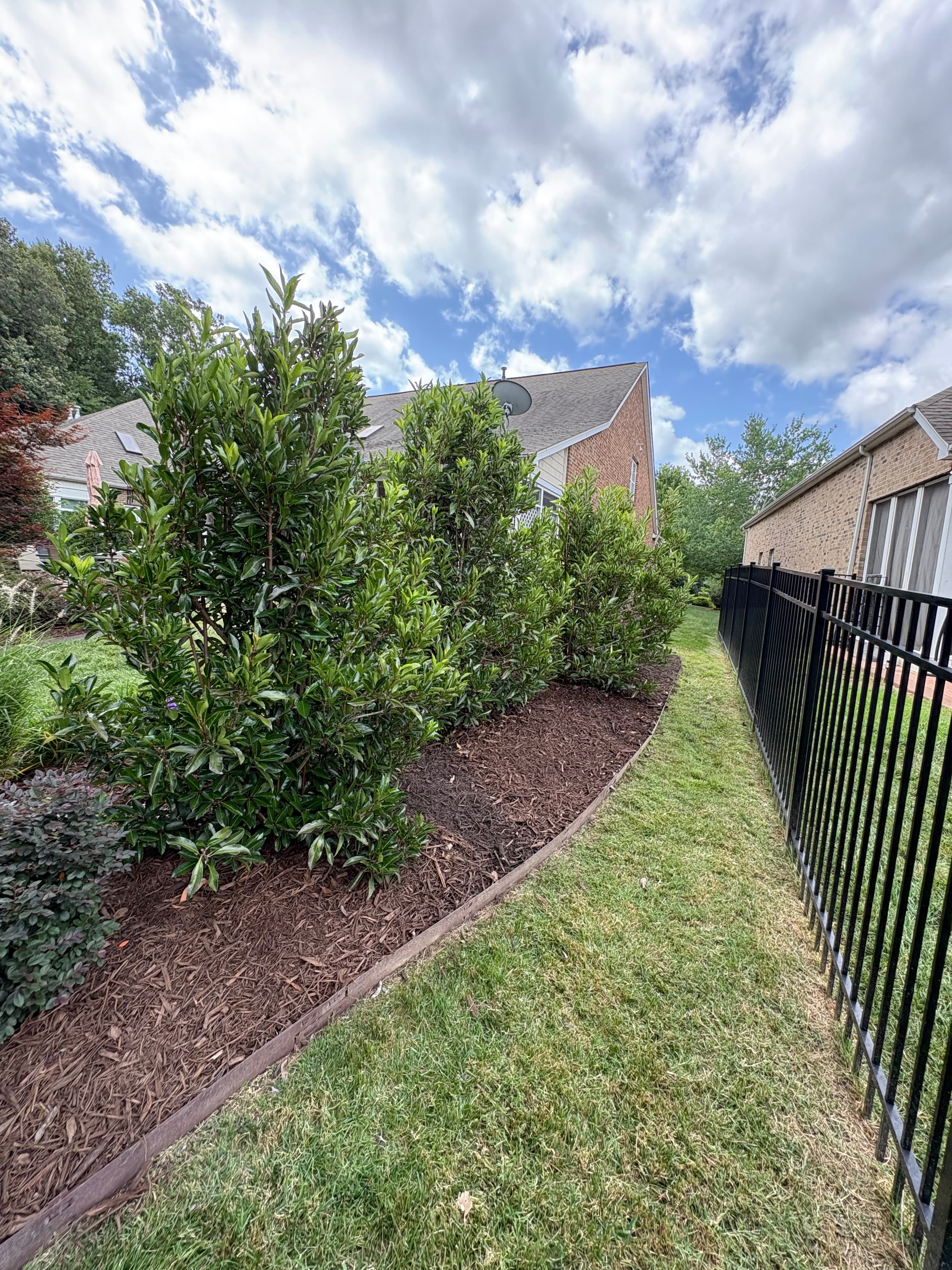 Mulching job 1
