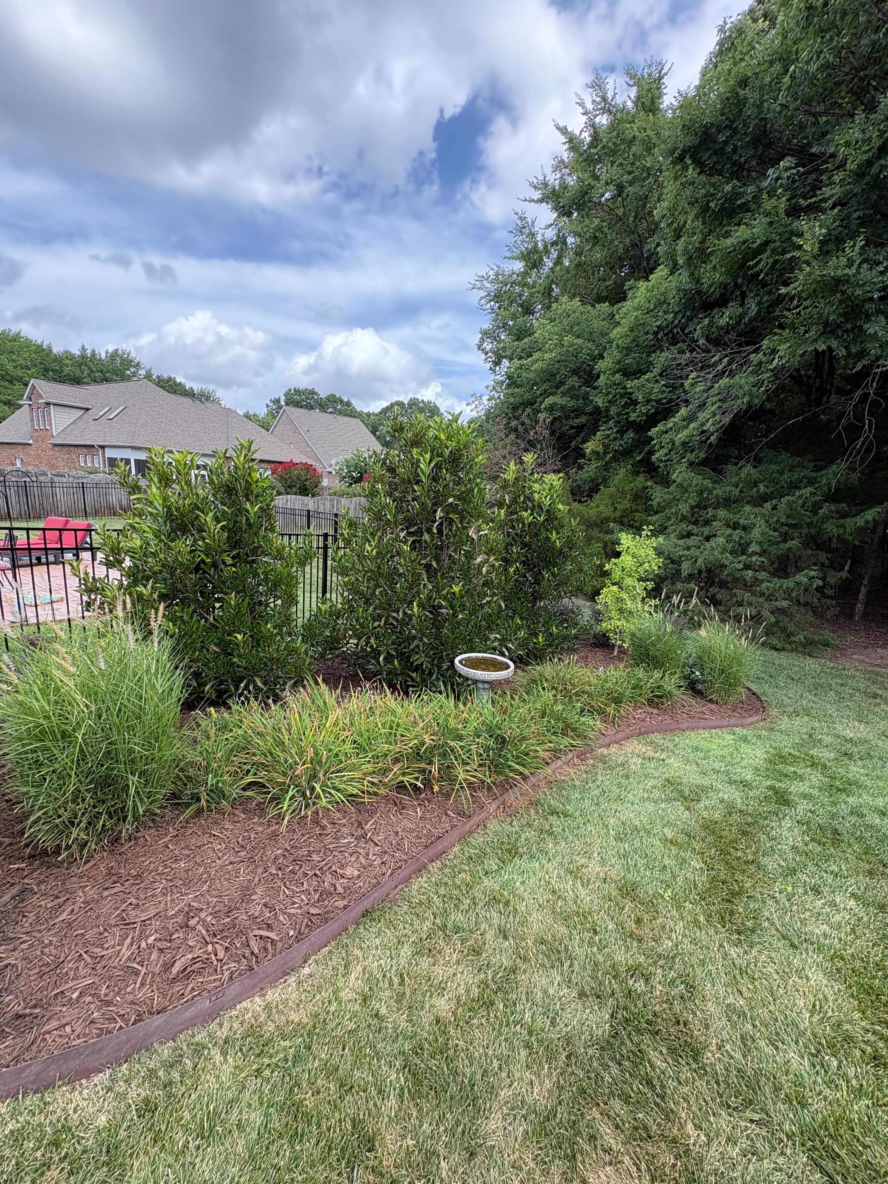 Mulching job 5