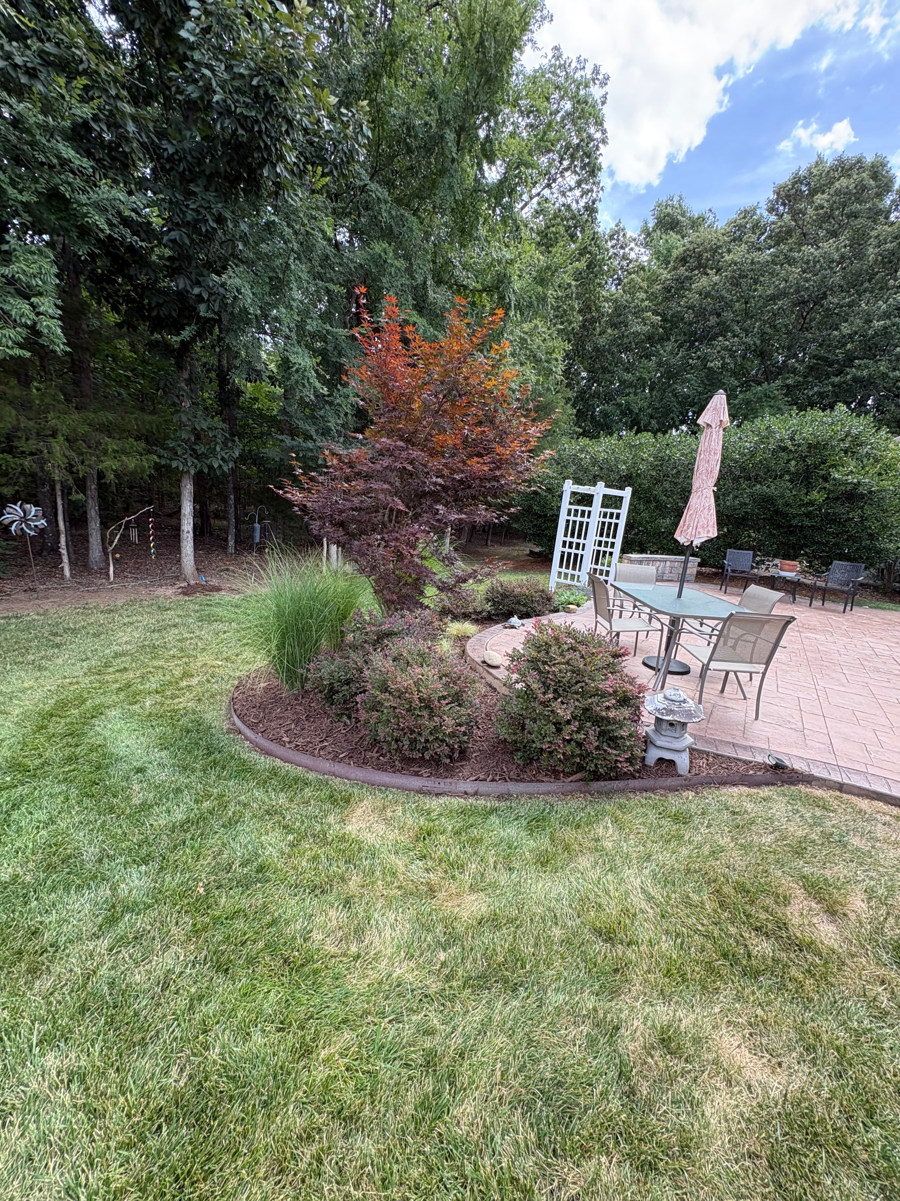 Mulching job 6