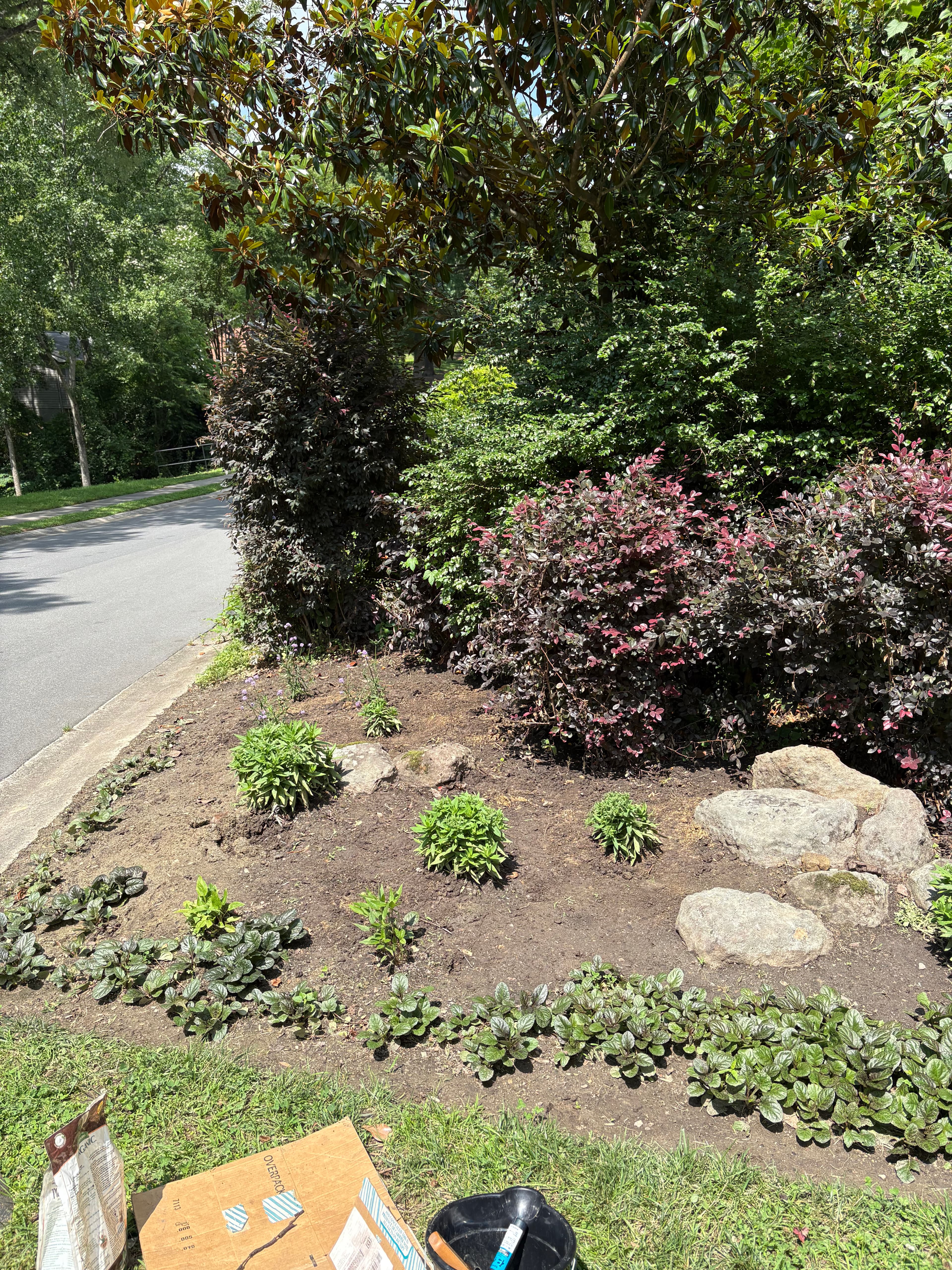 Planting and Weeding