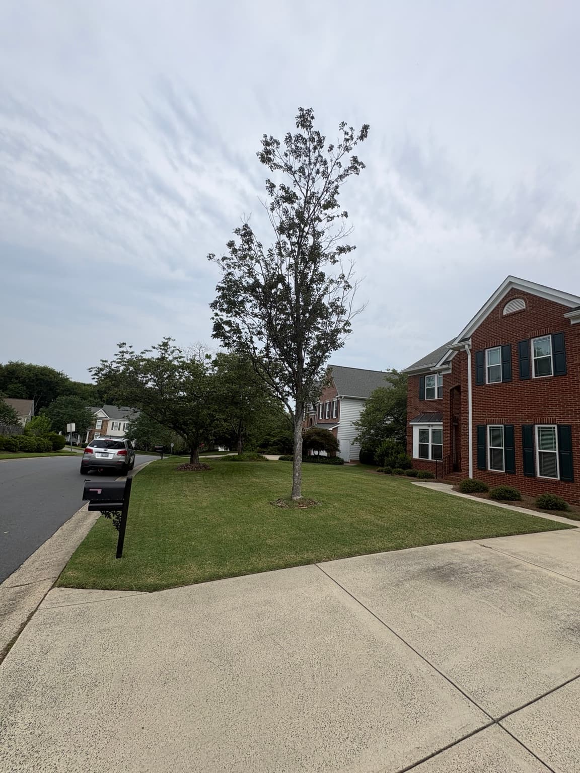 Corner Lot Front Yard 01