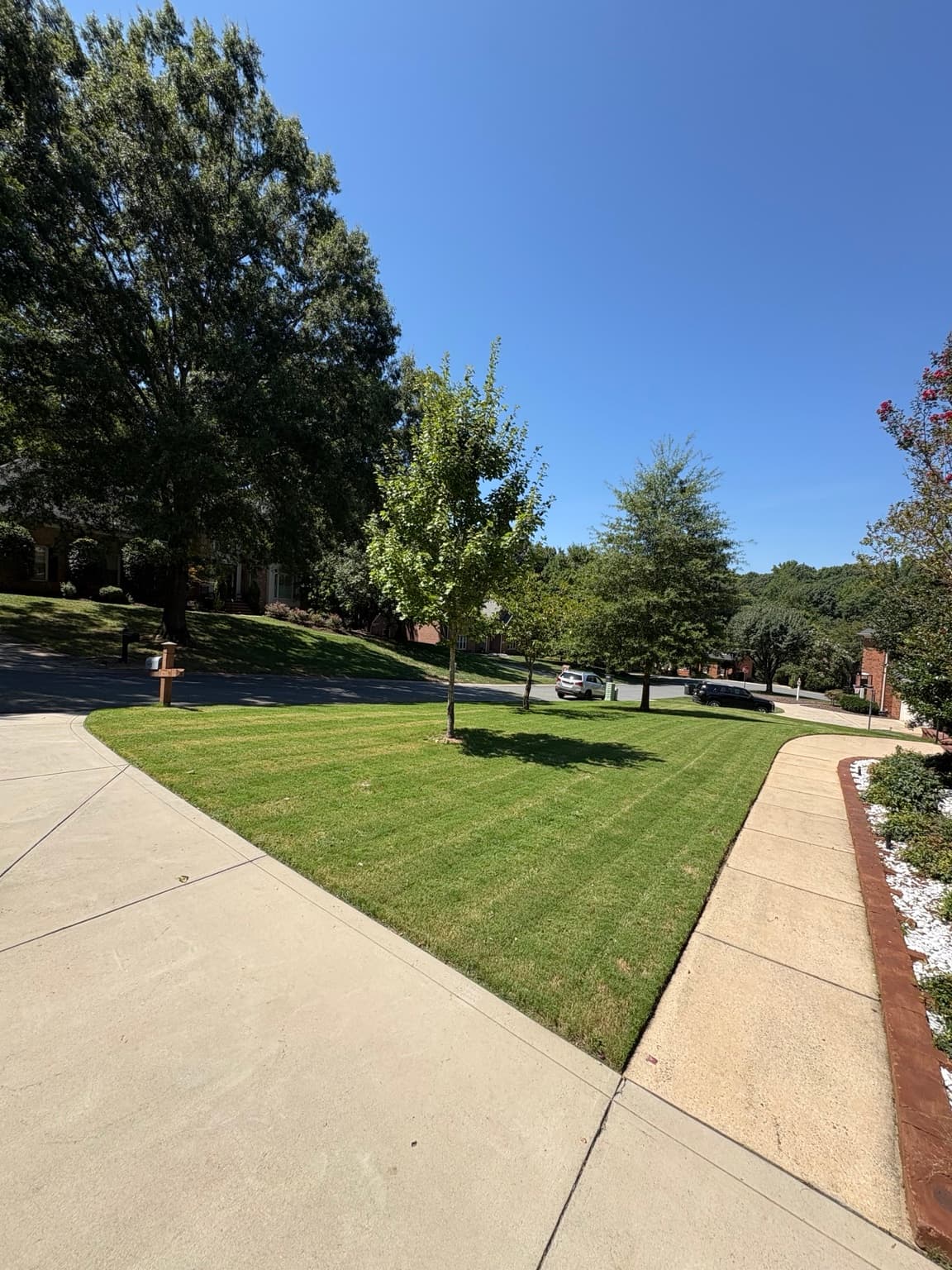 Curved Front Yard 11