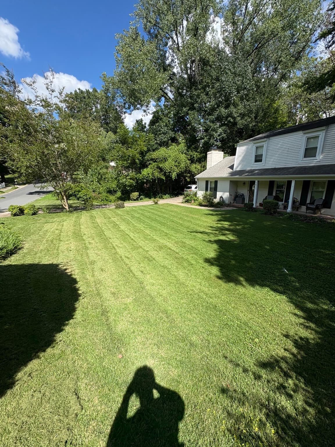Front Yard Stripes 06