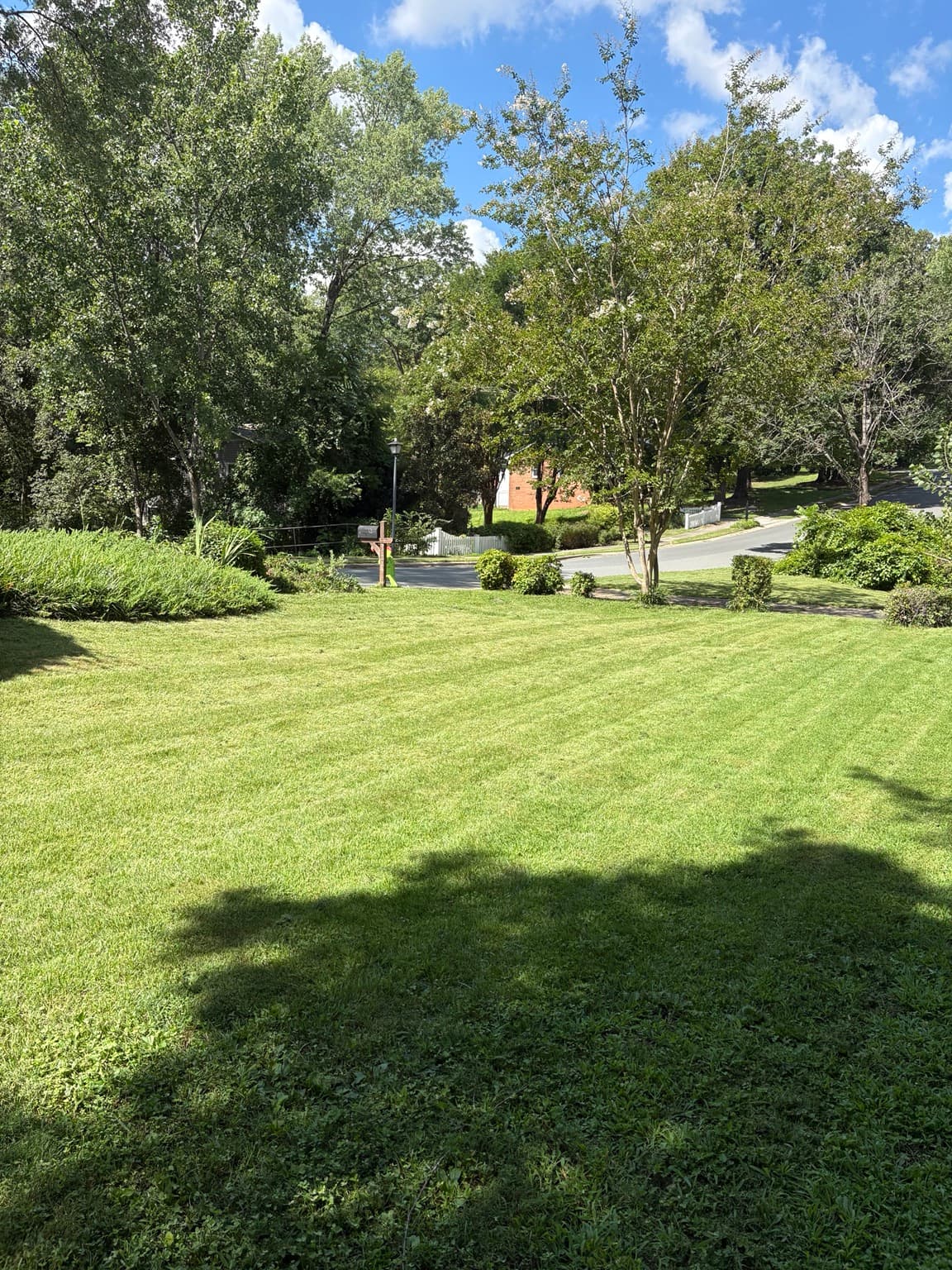 Sloped Front Yard 05
