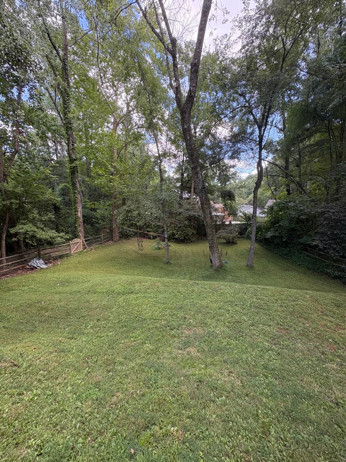 Wooded Backyard 04