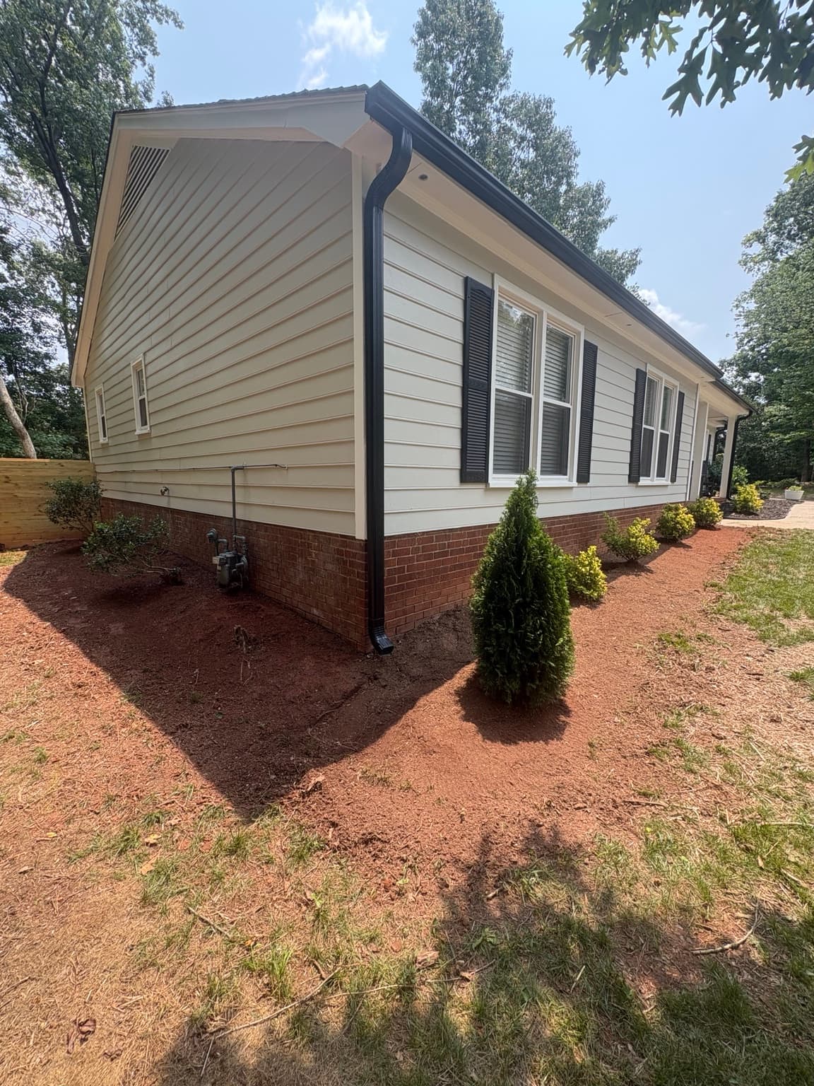 Side Yard Pine Needles 03