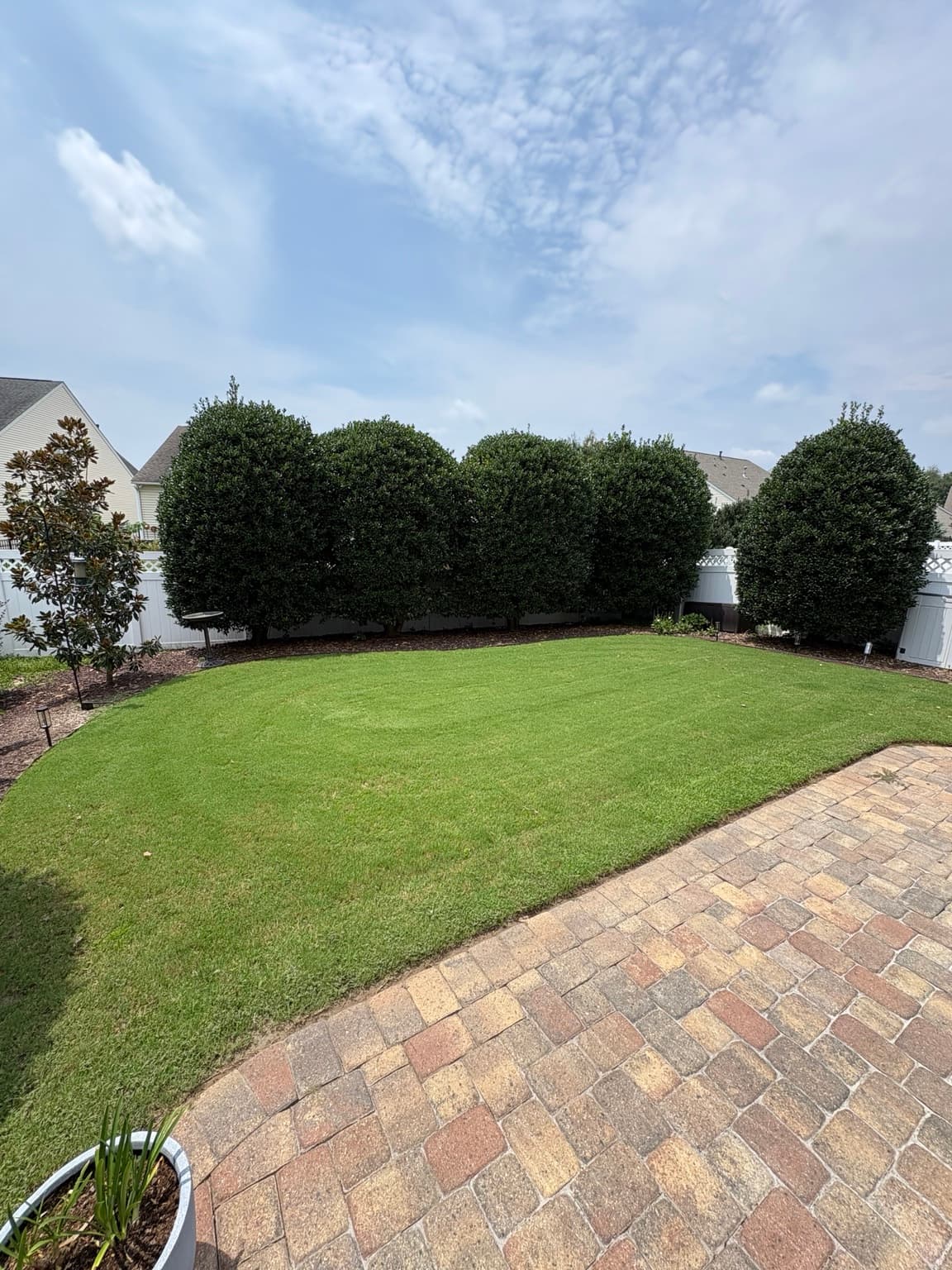Backyard Privacy Shrubs 01