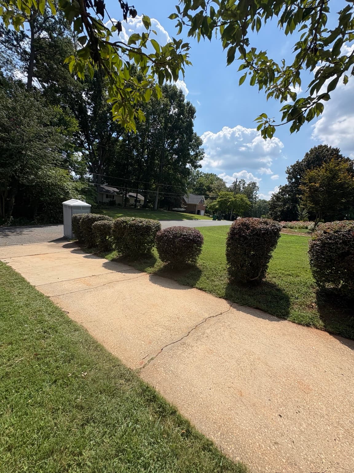 Driveway Shrub Row 14