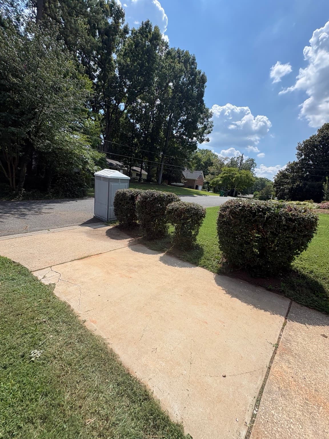 Driveway Shrub Row 16