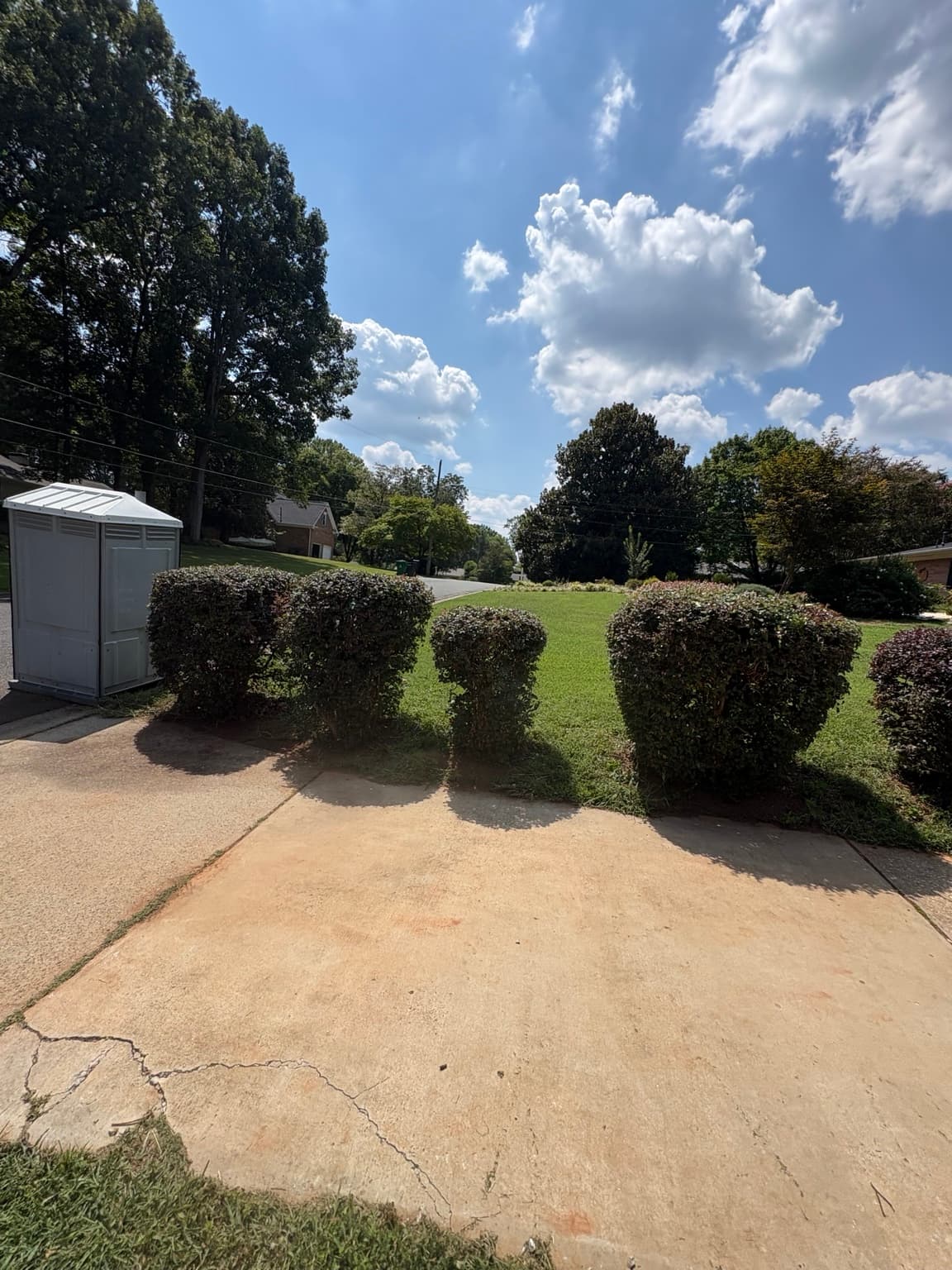 Driveway Shrub Row 17