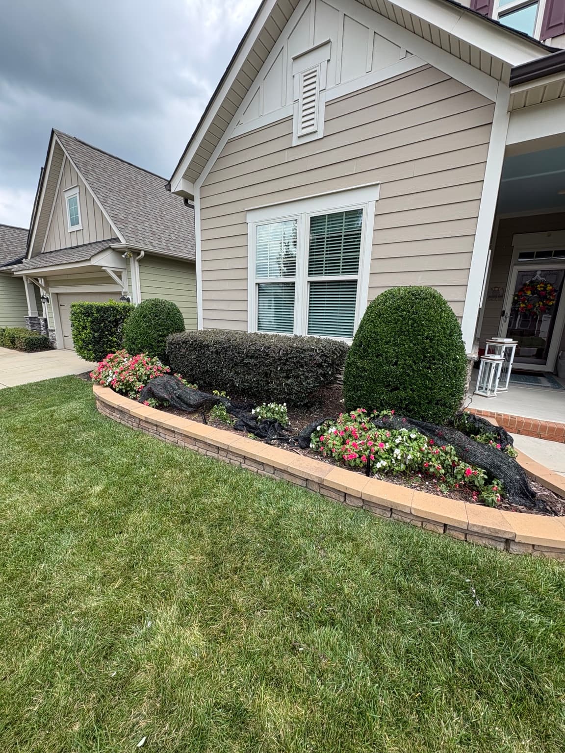 Front Landscape Bushes 07