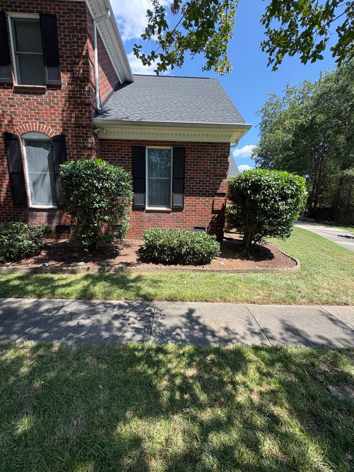 Front Yard Shrubs 04