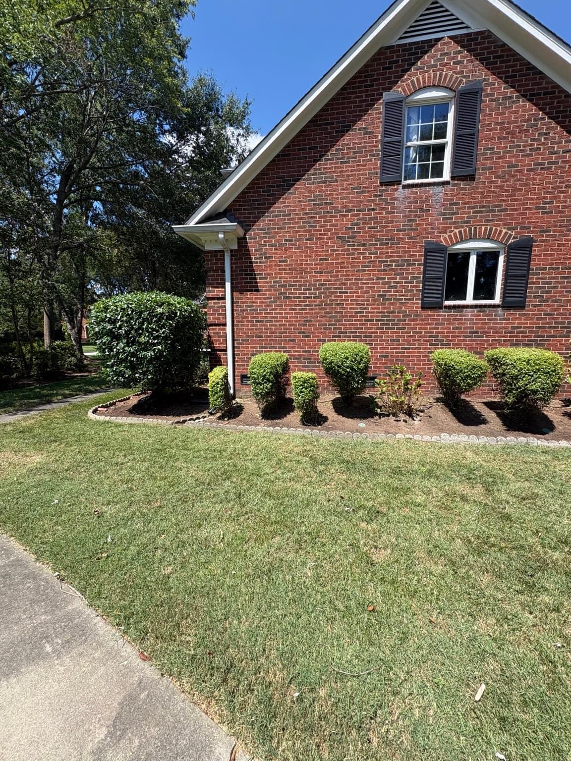 Side Yard Shrub Row 05