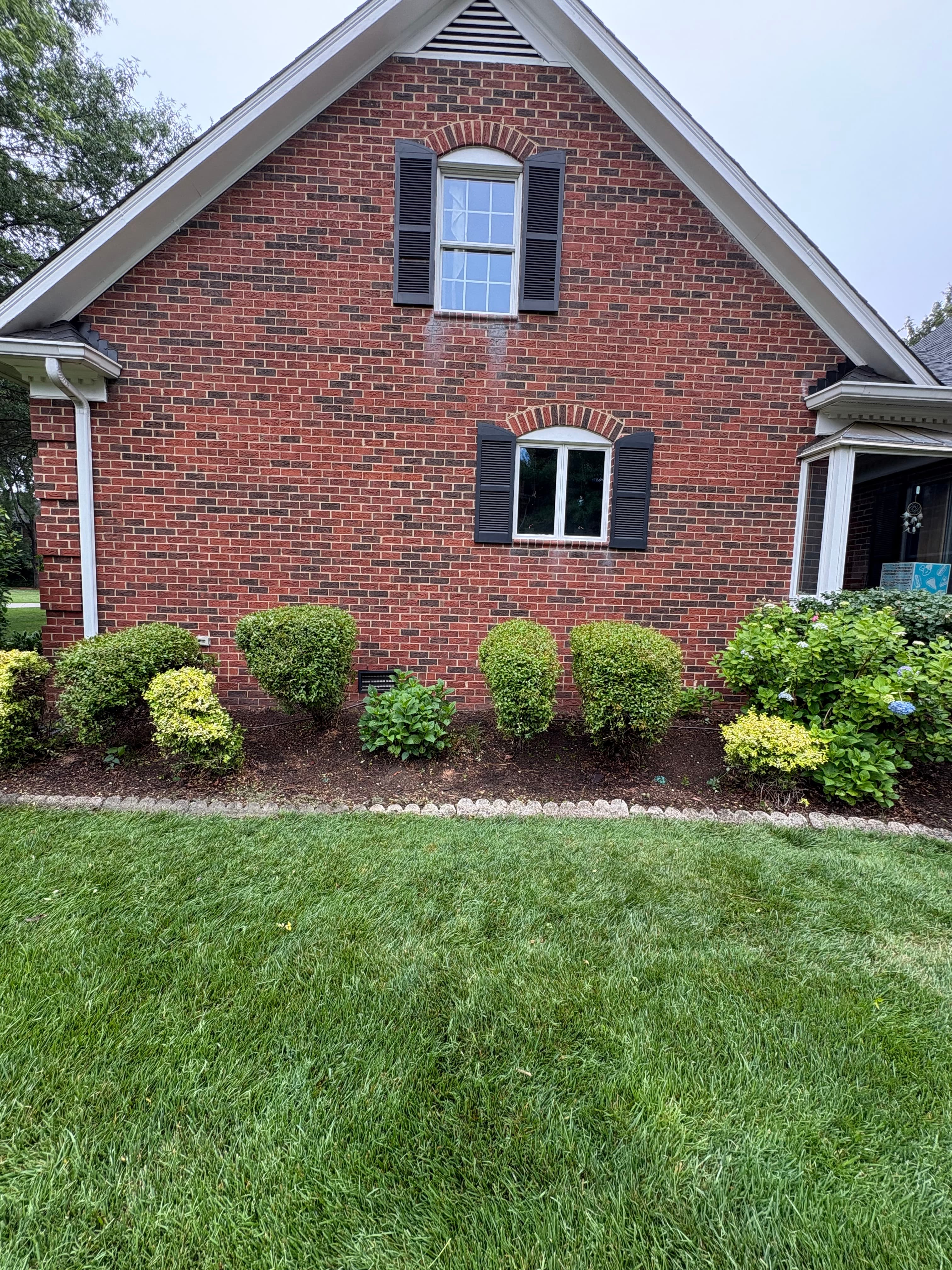 Bush trimming service photo