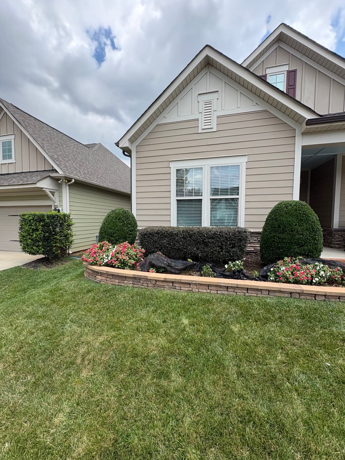 Front landscape bushes after trimming